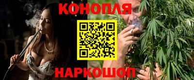 МДПВ Татарск
