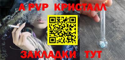 прущие грибы Тверь