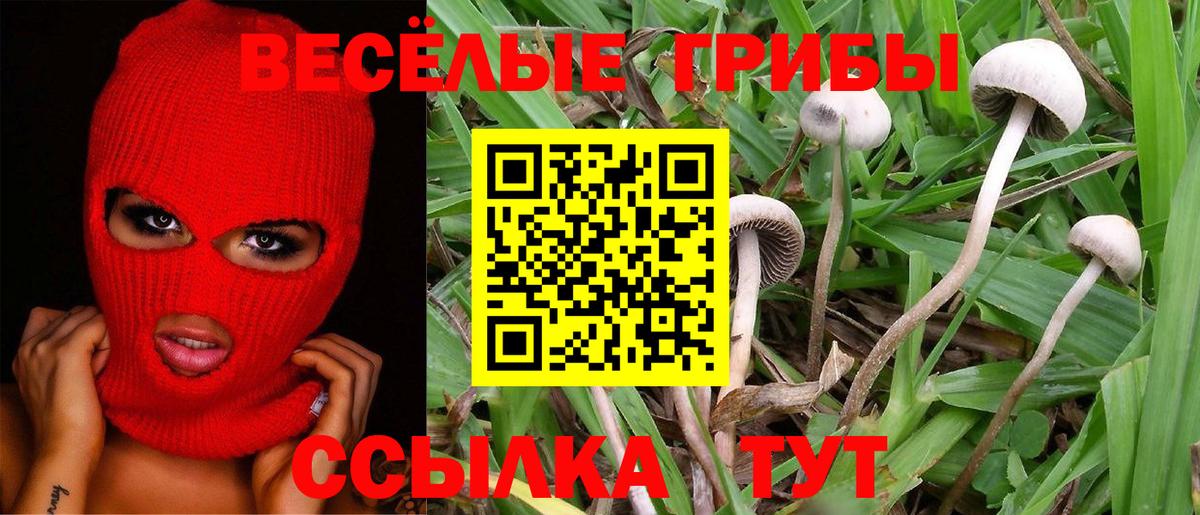 Галлюциногенные грибы прущие грибы  Вход с VPN  Архангельск 